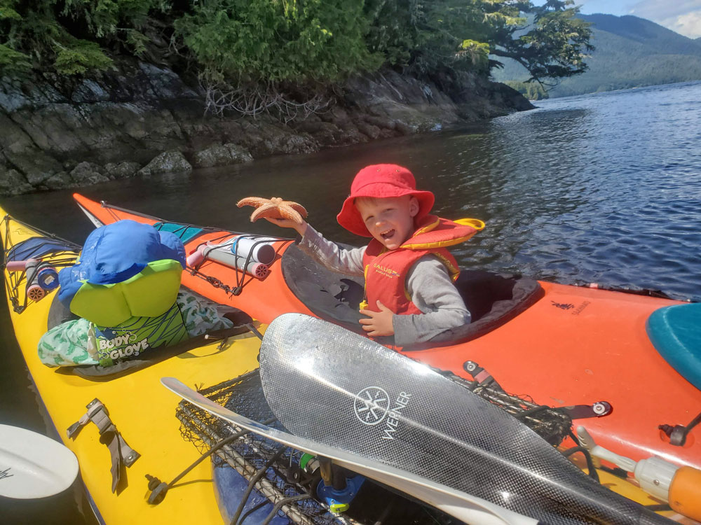 seastars on family kayaking tour
